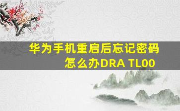 华为手机重启后忘记密码怎么办DRA TL00